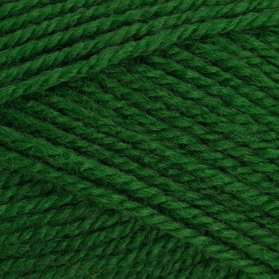 Stylecraft Special Aran 400g 7045 Pine