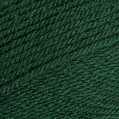 Stylecraft Special Dk 1009 Bottle