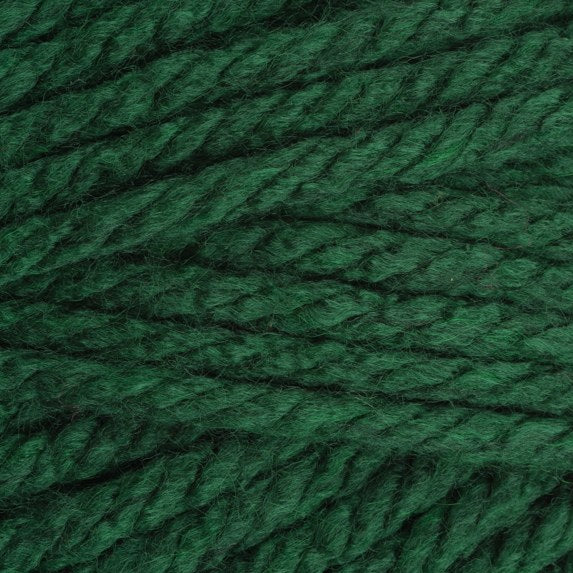 Stylecraft Special XL Super Chunky 1009 Bottle