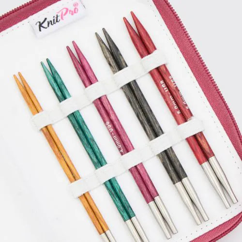 Knit Pro Dreamz Starter Interchangeable Knitting Needles Set