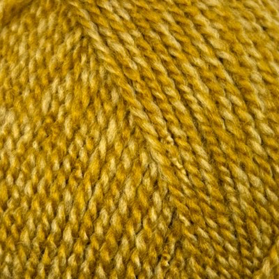 *NEW* Stylecraft Special Dk 2194 Honey Mix