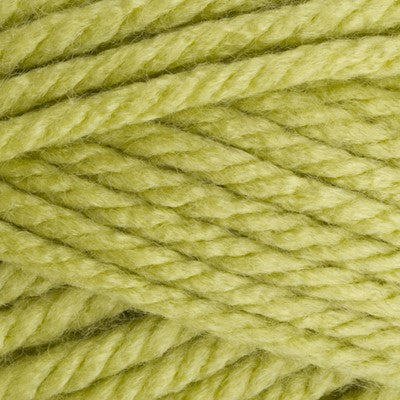 Stylecraft Special XL Super Chunky 200g 1822 Pistachio